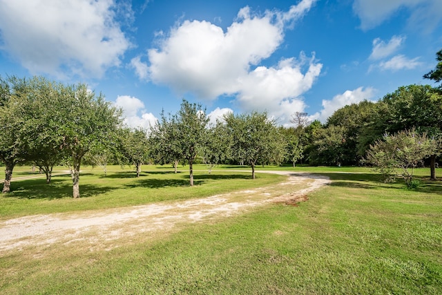 surrounding community featuring a yard