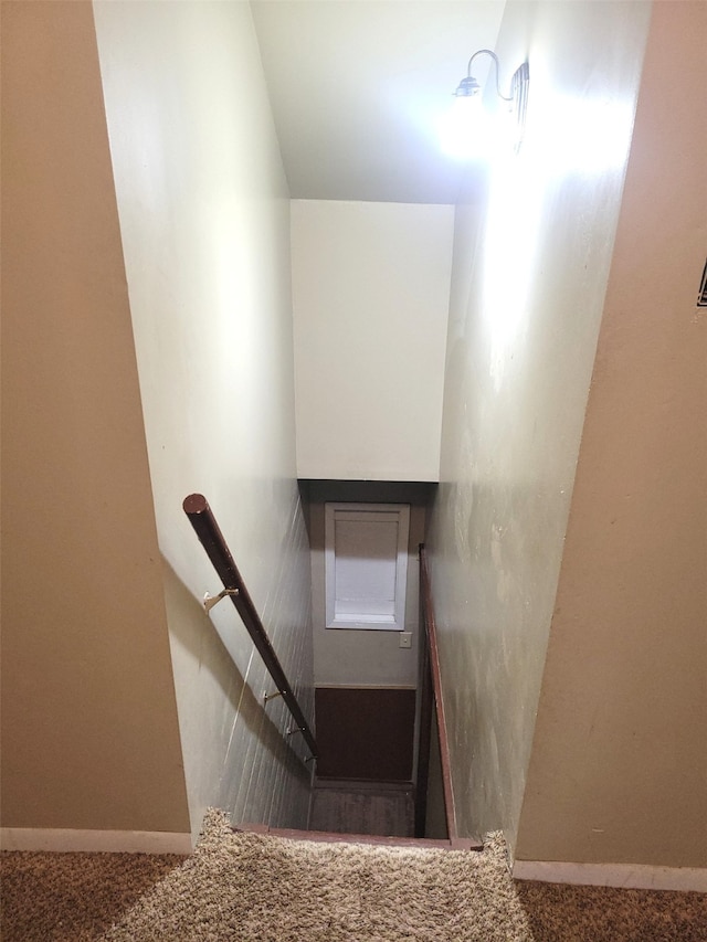 staircase featuring carpet floors