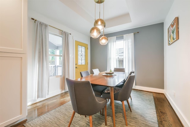 dining room featuring hardwood / wood-style flooring and a tray ceiling