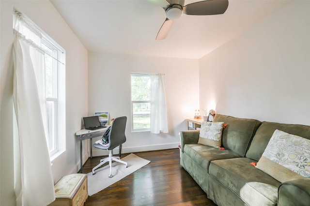 office featuring ceiling fan and dark hardwood / wood-style flooring