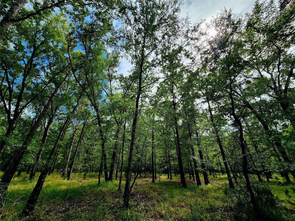 7376 Quail Hollow Ct, Larue, TX 75770