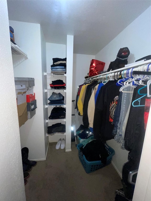 spacious closet with carpet