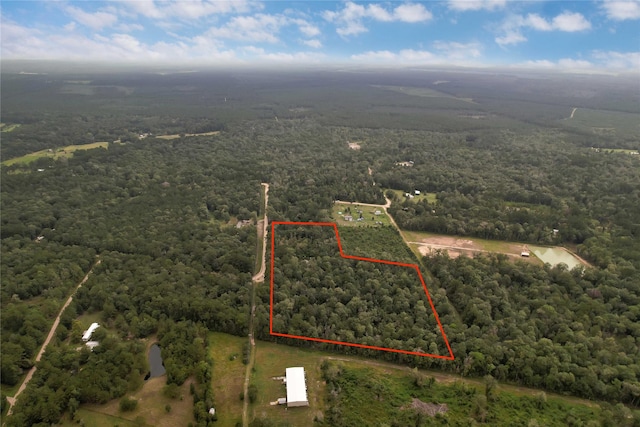 295 Hollywood St, Livingston, TX 77351 - photo 18