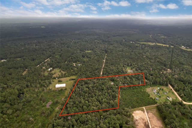 295 Hollywood St, Livingston, TX 77351 - photo 16