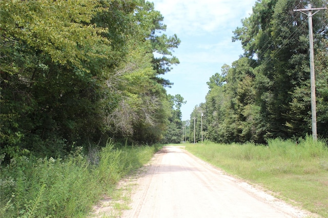 295 Hollywood St, Livingston, TX 77351 - photo 14
