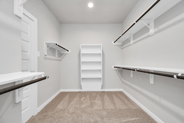 spacious closet with carpet