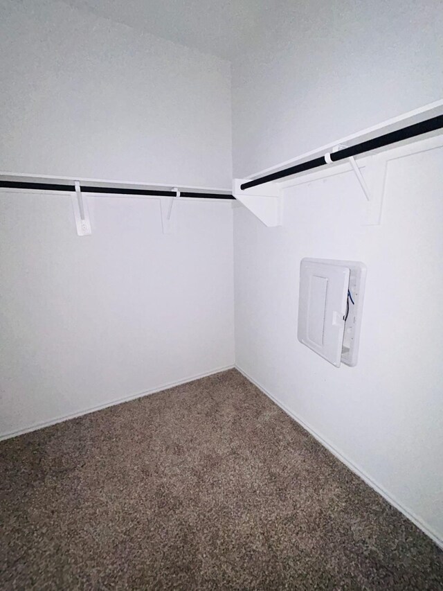 walk in closet featuring carpet