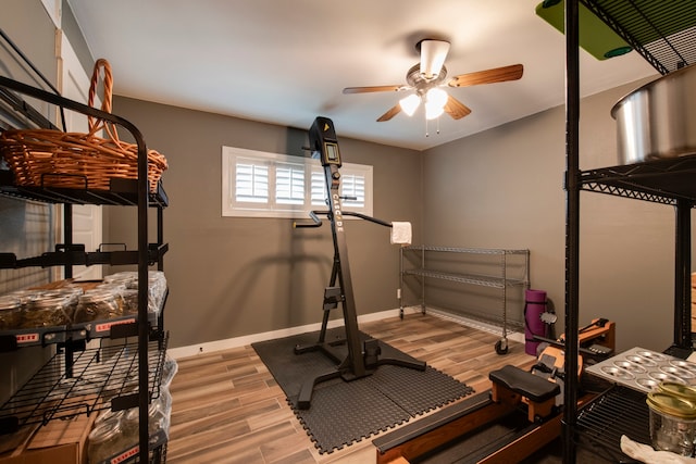 workout room with ceiling fan and hardwood / wood-style flooring