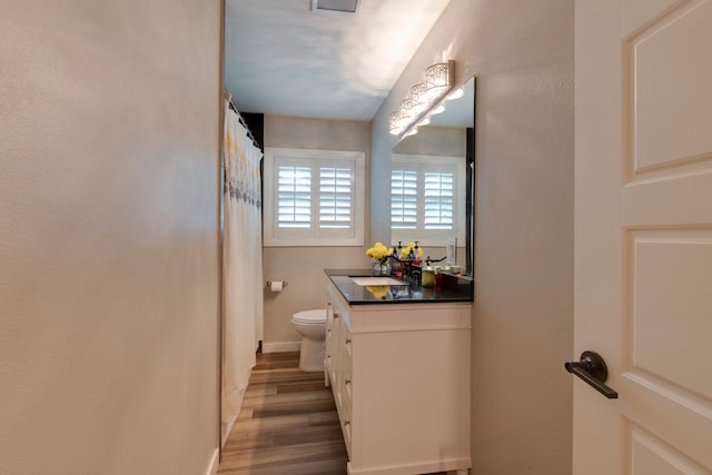 bathroom featuring vanity, toilet, and wood-type flooring