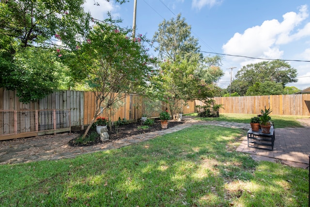 view of yard featuring a patio area