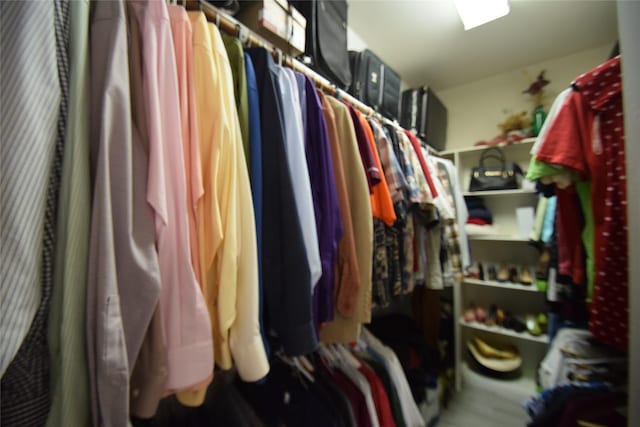 view of walk in closet