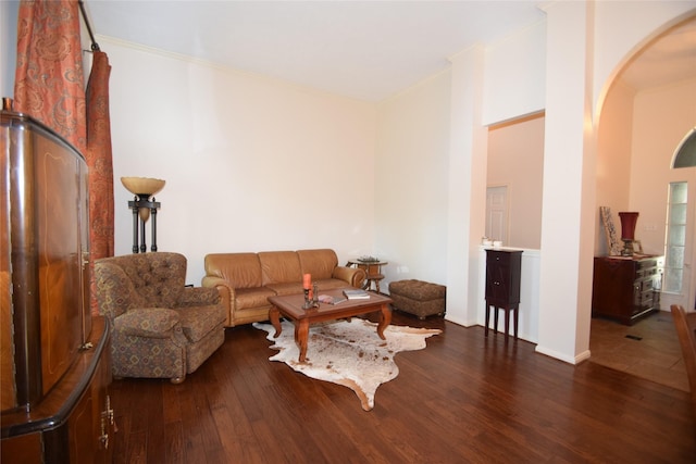 living room featuring dark wood-type flooring and ornamental molding