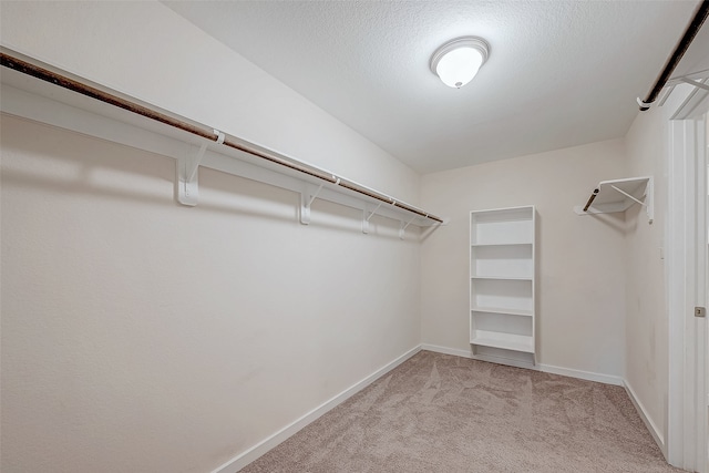 spacious closet featuring light colored carpet