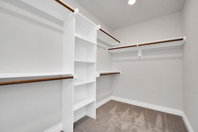 spacious closet with carpet flooring