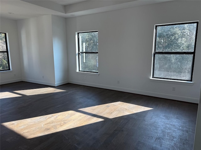 empty room with plenty of natural light and dark wood-type flooring