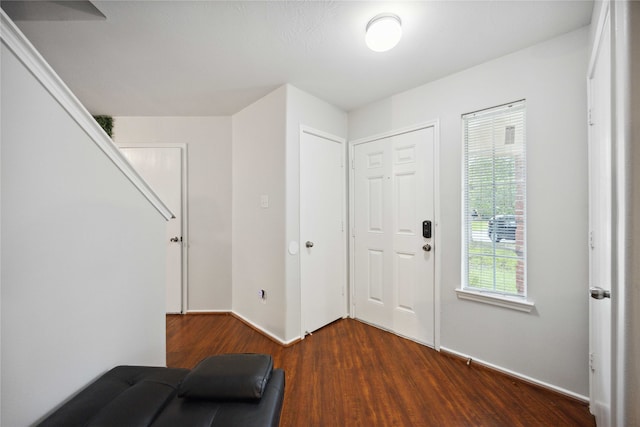 foyer entrance featuring dark hardwood / wood-style flooring