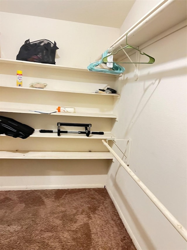 spacious closet featuring carpet floors