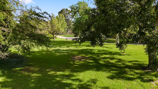 LOT3 Broken Bough Ln, Missouri City, TX 77459