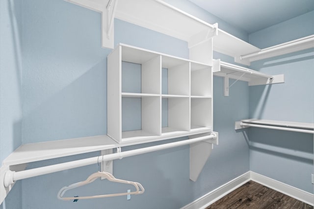 spacious closet with dark wood-type flooring