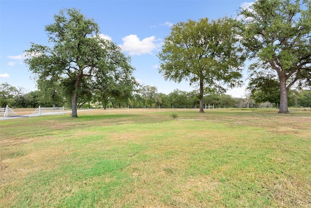 3010 Split Oak Ranch Rd, Nolanville, TX 76559 - photo 30
