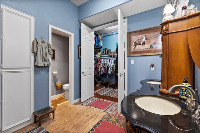 bathroom with vanity, toilet, and wood-type flooring