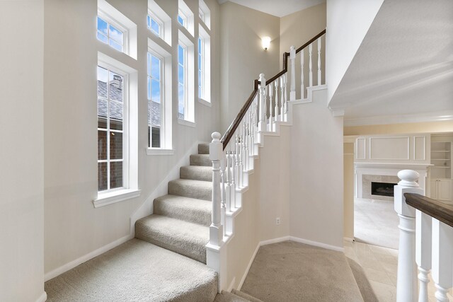 stairs featuring carpet floors