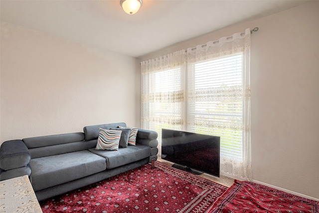 living room featuring carpet flooring