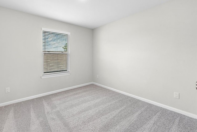 spare room with carpet