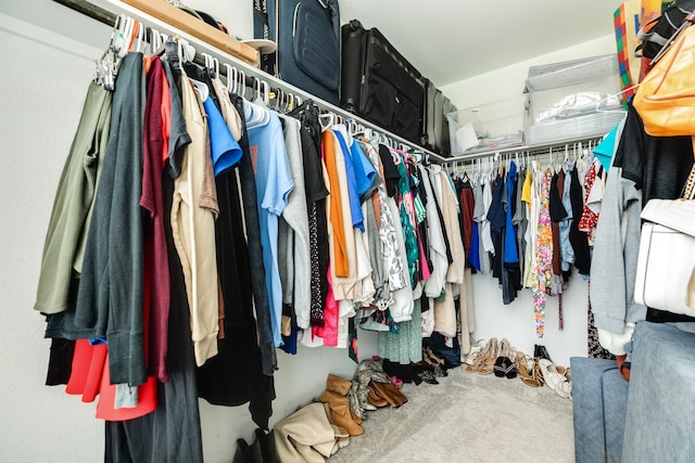 spacious closet featuring carpet