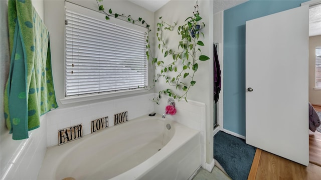 bathroom featuring a washtub and wood-type flooring