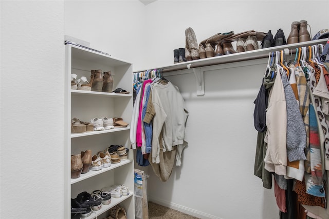 walk in closet with carpet