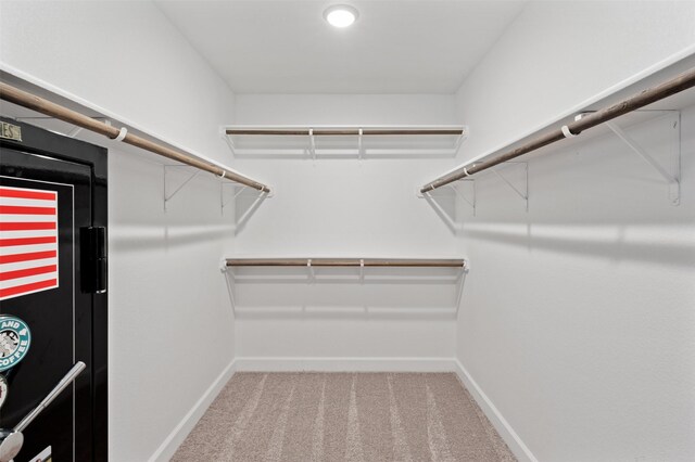 spacious closet with carpet