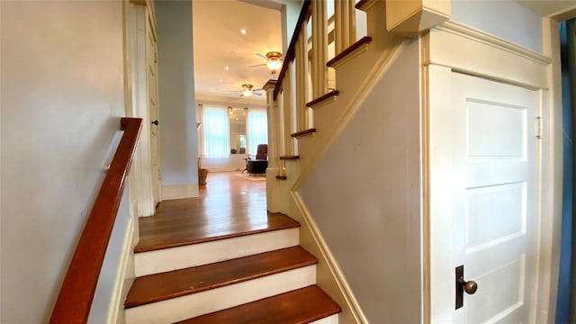 stairway featuring wood-type flooring and ceiling fan