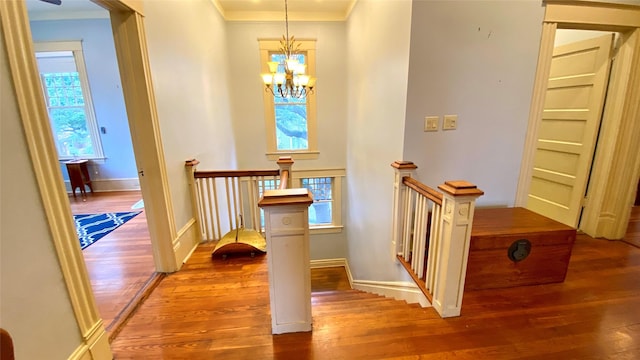 hall featuring ornamental molding, wood-type flooring, and a notable chandelier