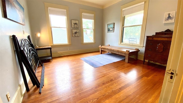 interior space with light hardwood / wood-style floors, ornamental molding, and a wealth of natural light