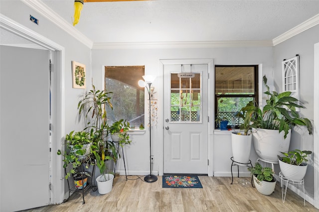 interior space featuring ornamental molding, light wood-type flooring, and a textured ceiling