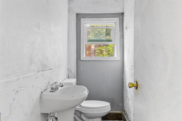 bathroom featuring toilet