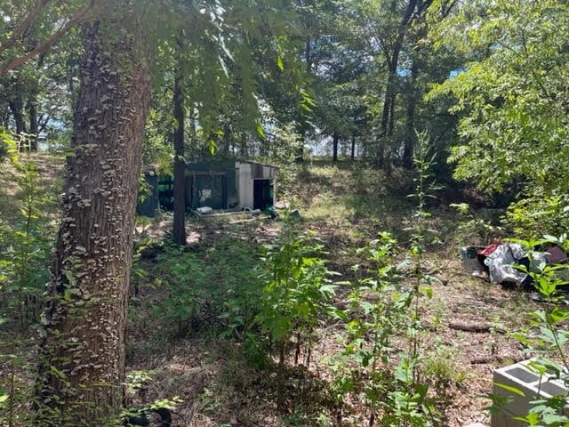 view of yard featuring a shed