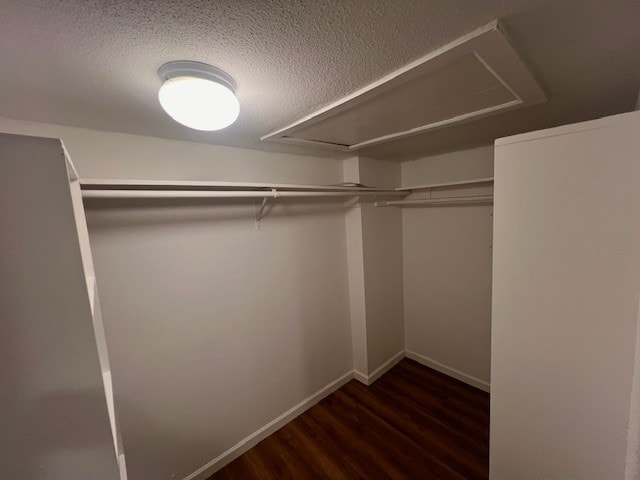 walk in closet with dark hardwood / wood-style flooring