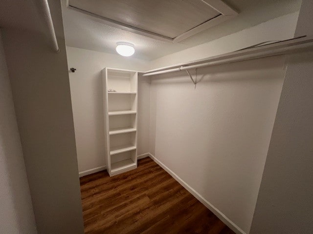 walk in closet featuring dark hardwood / wood-style flooring