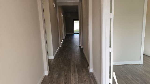 hallway with dark hardwood / wood-style floors