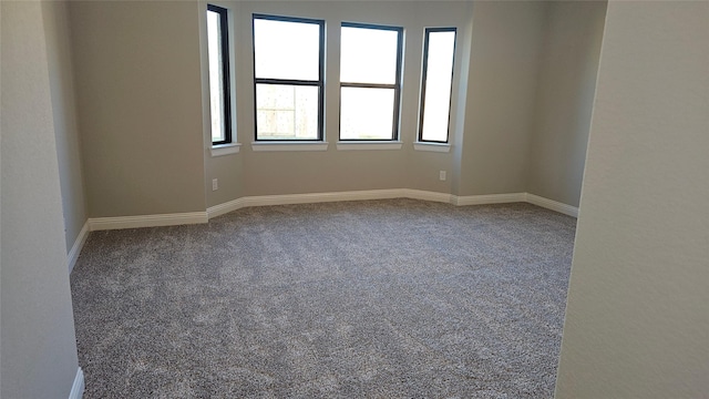 spare room featuring carpet