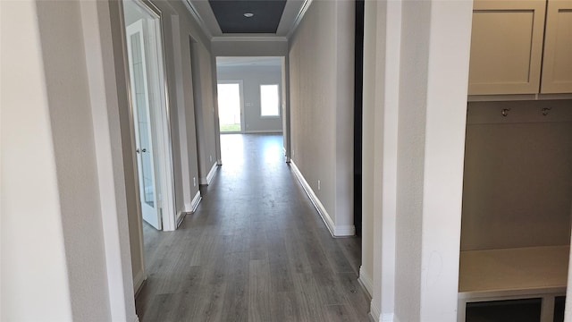 hallway with ornamental molding and light hardwood / wood-style flooring