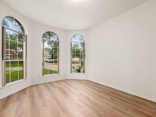 empty room featuring light hardwood / wood-style flooring and a wealth of natural light