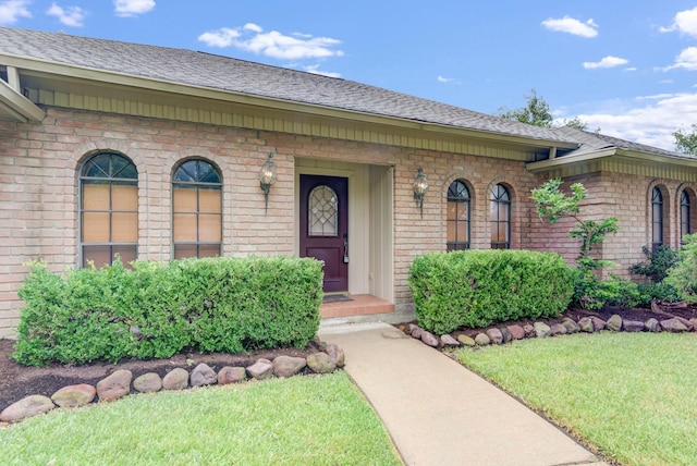 view of exterior entry with a shingled roof, a lawn, and brick siding