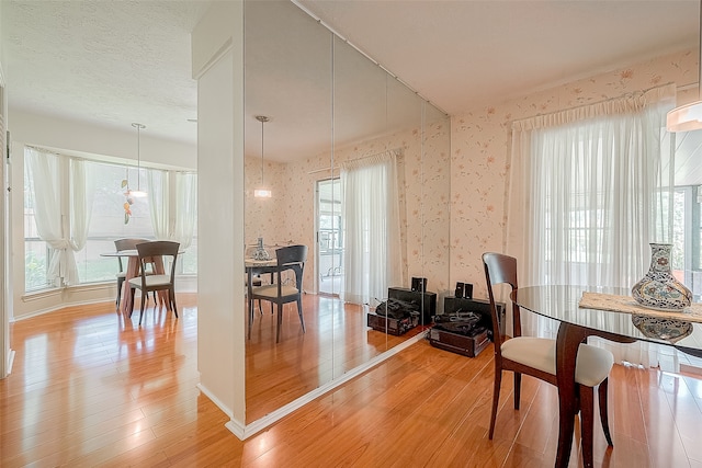 dining room with a textured ceiling and hardwood / wood-style flooring