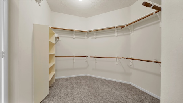 walk in closet with light colored carpet