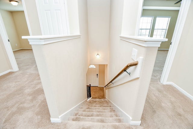 stairs featuring carpet flooring