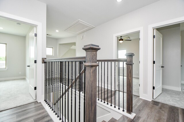 stairway with wood-type flooring