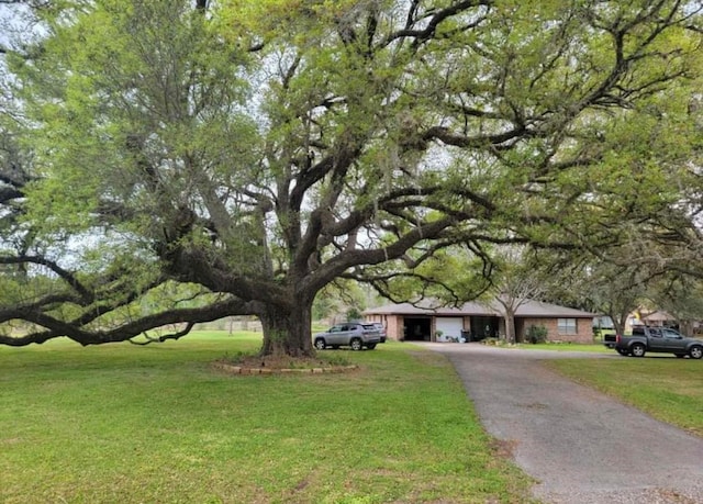 ranch-style home with a front yard